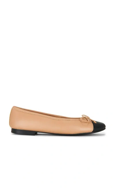 Tony Bianco Cappa Flat In Peru Nappa & Black Nappa