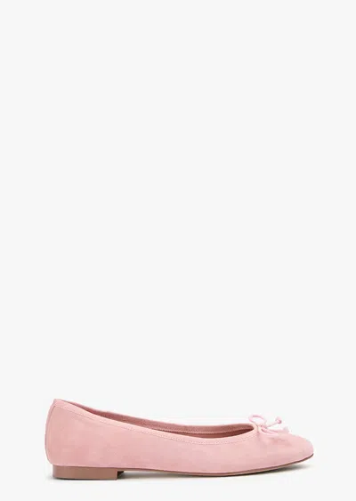 Tony Bianco Comma Blossom Suede In Pink