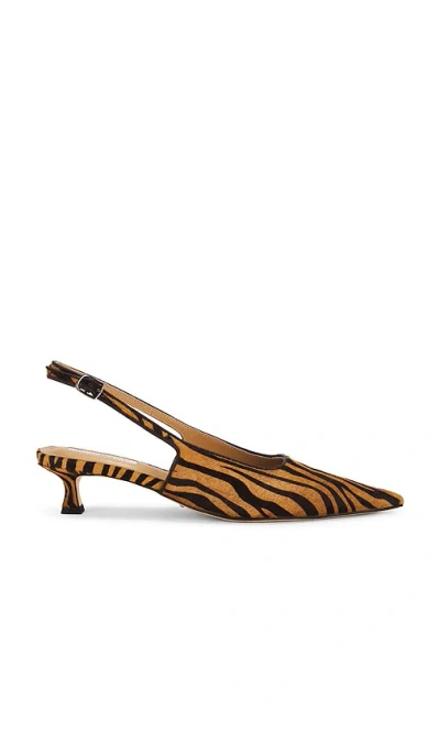 Tony Bianco Crush Pump In Brown Zebra
