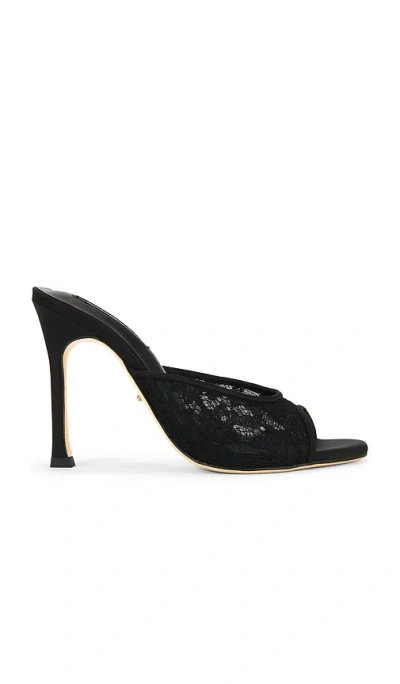 Tony Bianco Dashing Heel In Black