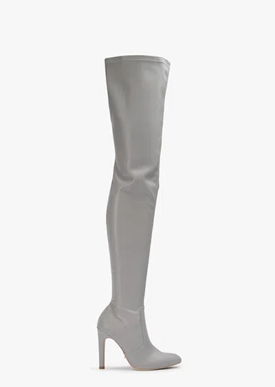 Tony Bianco Hana Grey Venezia Long Boots