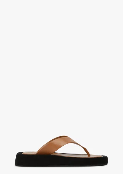 Tony Bianco Ives Tan Como