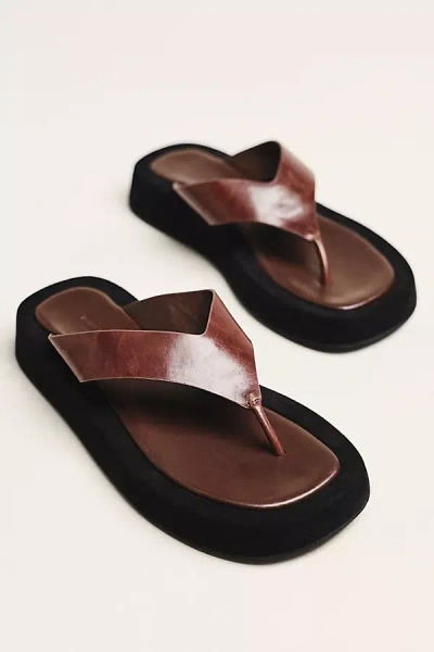 Tony Bianco Ives Thong Sandals In Brown