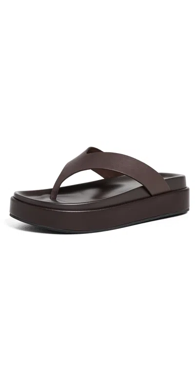 Tony Bianco Jetta Thong Sandals Choc Tuscon In Animal Print