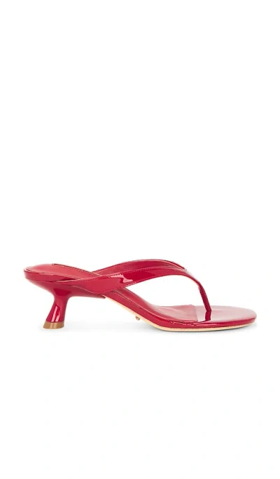 Tony Bianco Krista Sandal In Multi