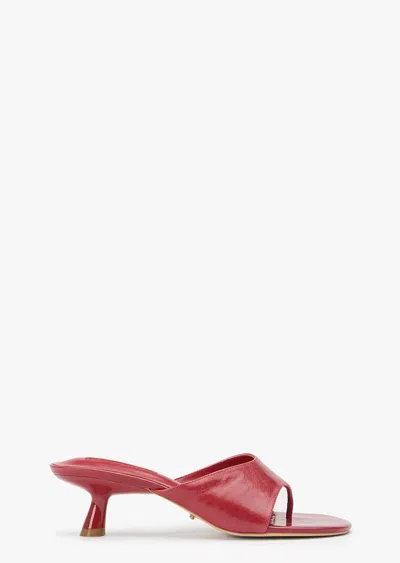 Tony Bianco Kruz Scarlet Vintage