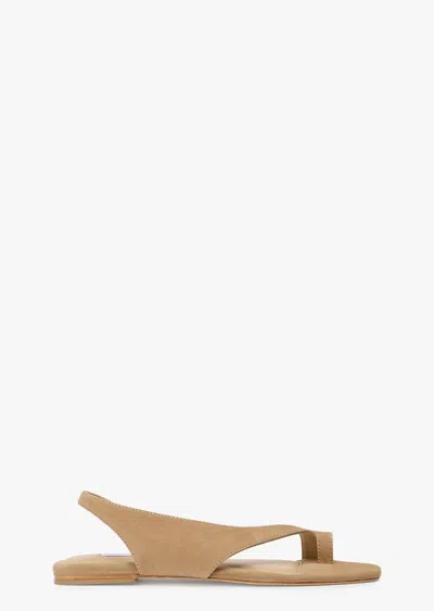 Tony Bianco Roma Wheat Suede In Brown