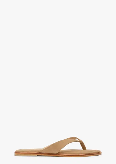 Tony Bianco Sahara Wheat Suede In Brown