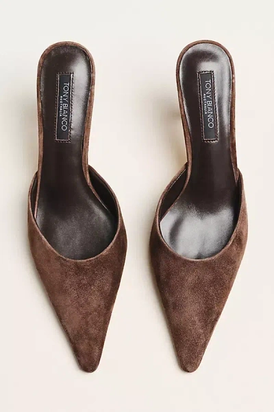 Tony Bianco Sicily Pointed Toe Mules In Brown