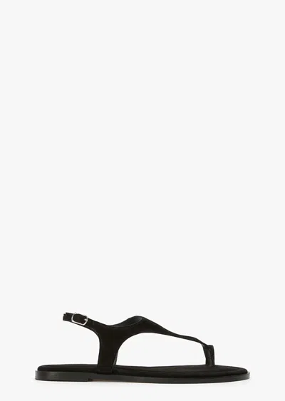 Tony Bianco Sienna Black Suede