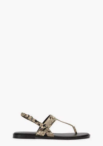 Tony Bianco Talia Ecru Snake