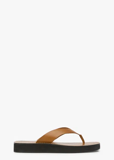 Tony Bianco Tilly Tan In Brown