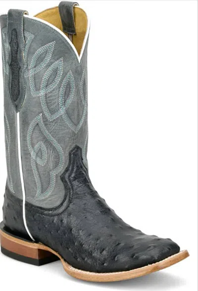 Tony Lama Women's Genuine Ostrich Square Toe Boot In Slate In Multi