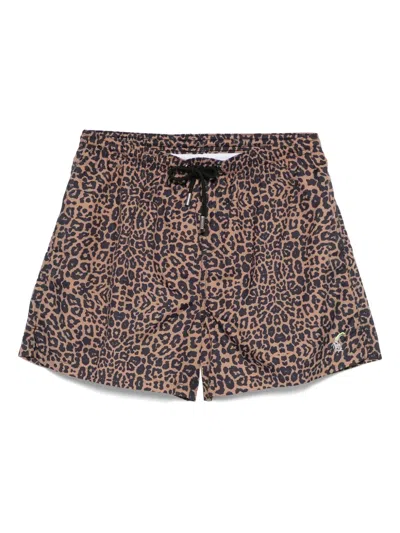 Tooco Animal-print Swim Shorts