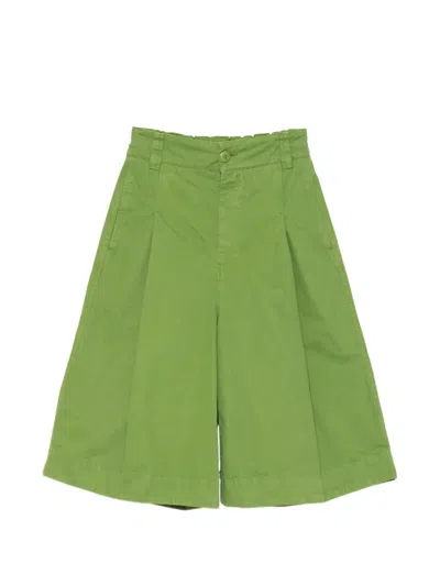 Toogood Explorer Pleated Shorts In Green
