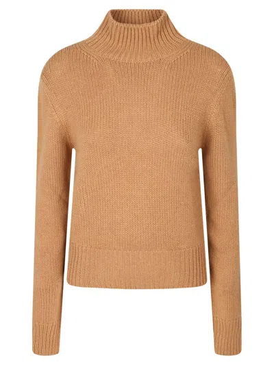 Took Sweaters