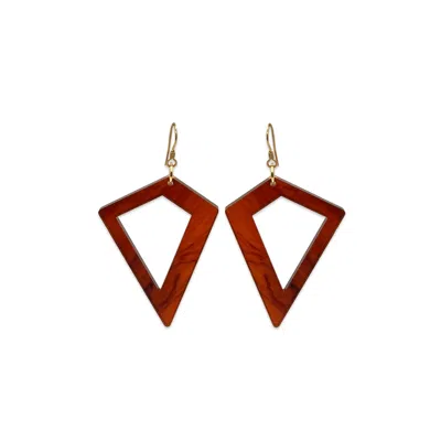 Toolally Women's Brown Kite Earrings - Tortoiseshell