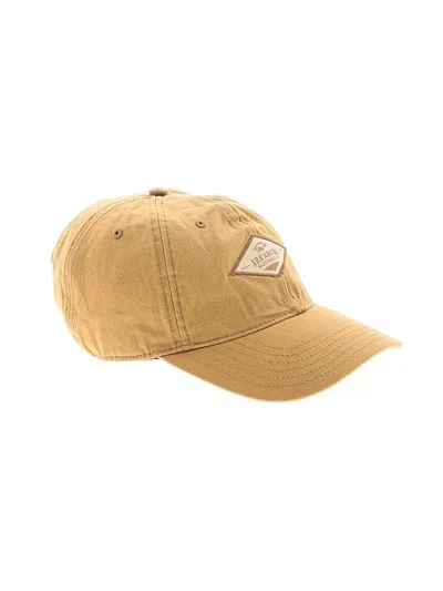 Pre-owned Top Of The World Baseball Cap Tan Accessories In Brown