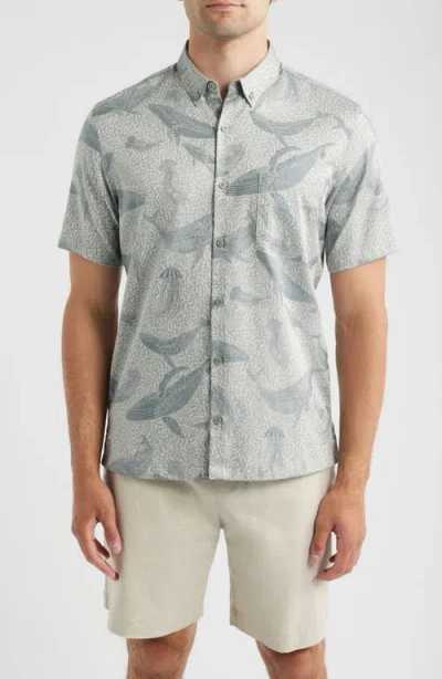 Tori Richard Marine Mosaic Jacquard Cotton Shirt In Gray