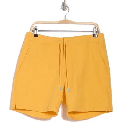 Tori Richard The Hidden Deep Swim Trunks In Sun