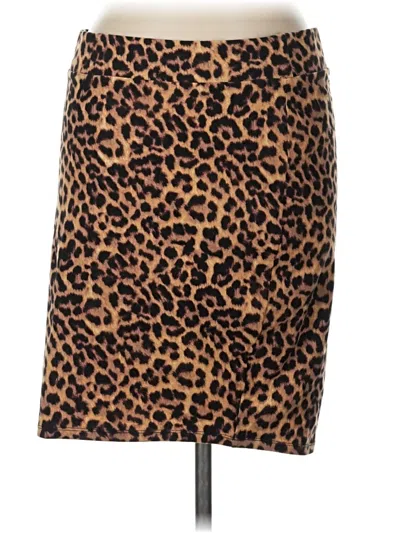 Pre-owned Torrid Casual Skirt In Brown