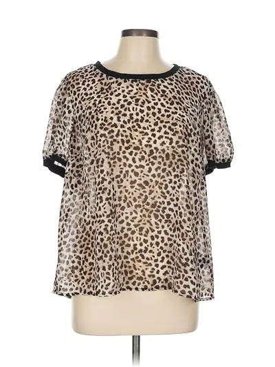 Pre-owned Torrid Short Sleeve Blouse In Brown