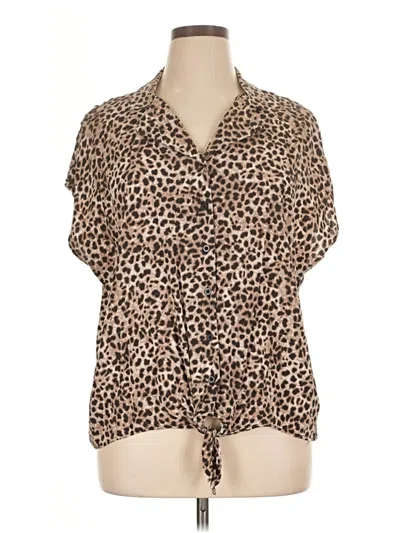 Pre-owned Torrid Short Sleeve Blouse In Brown