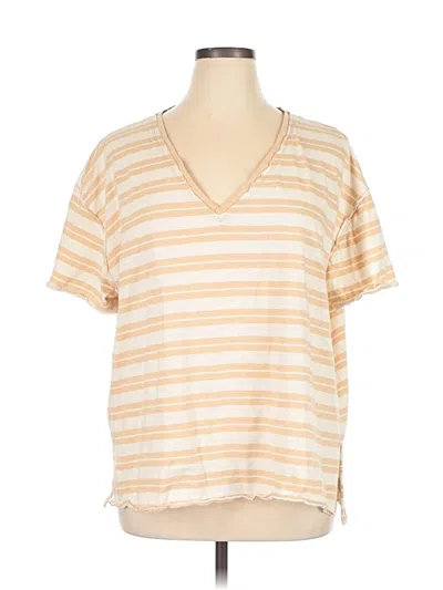 Pre-owned Torrid Short Sleeve T-shirt In Brown