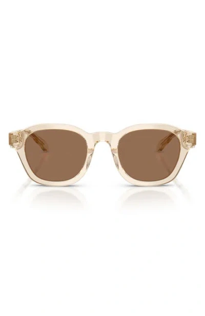 Tory Burch 48mm Phantos Sunglasses In Brown