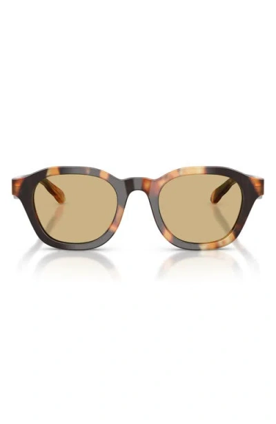Tory Burch 48mm Phantos Sunglasses In Neutral