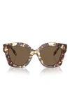 TORY BURCH 49MM IRREGULAR CAT EYE SUNGLASSES