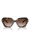 Tory Burch 51mm Cat Eye Sunglasses In Brown Tortoise