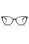 Tory Burch 53mm Cat Eye Optical Glasses In Tortoise
