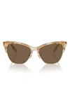 Tory Burch T-monogram Acetate & Plastic Cat-eye Sunglasses In Dark Brown