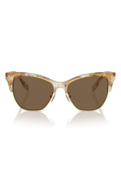 Tory Burch 53mm Cat Eye Sunglasses In Dark Brown