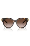 Tory Burch 53mm Gradient Phantos Sunglasses In 20161353 Brown Tort
