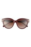 Tory Burch 53mm Gradient Phantos Sunglasses In 20181353 Brown Grad