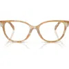 Tory Burch 53mm Phantos Optical Glasses In Honey Horn