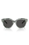 Tory Burch 53mm Phantos Sunglasses In Lite Grey