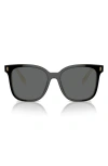 Tory Burch Women's Thin Miller 53mm Square Sunglasses In Black/ Ivory
