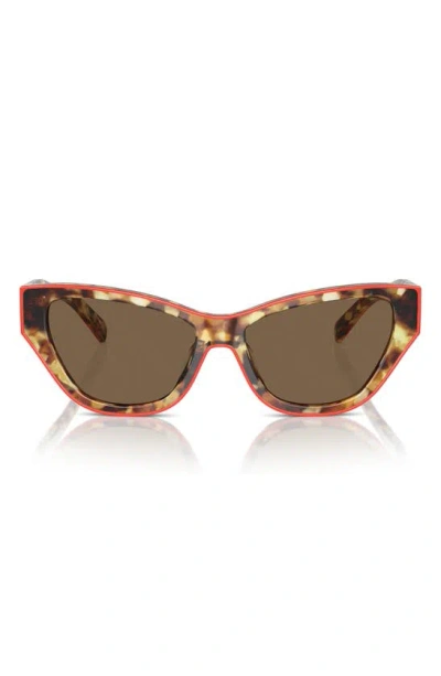 Tory Burch 54mm Cat Eye Sunglasses In Dark Brown