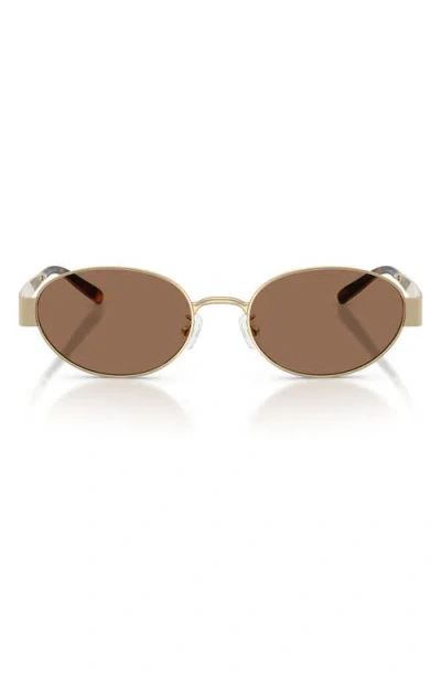 Tory Burch 54mm Oval Sunglasses In Brown