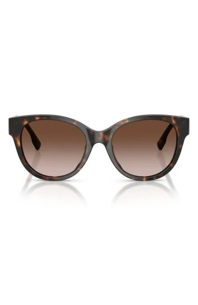 Tory Burch 54mm Phantos Sunglasses In Brown
