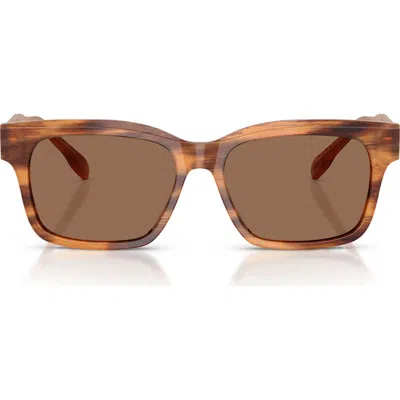 Tory Burch 55mm Rectangular Sunglasses In Brown