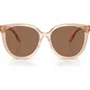 Tory Burch 56mm Phantos Sunglasses In Transparent