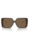 Tory Burch Square Sunglasses, 56mm In Tortoise