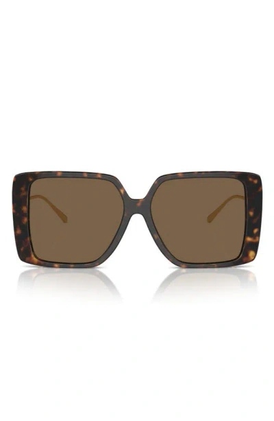 Tory Burch Square Sunglasses, 56mm In Tortoise