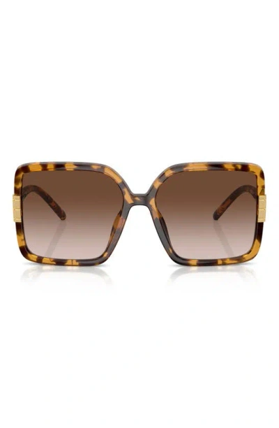 Tory Burch 57mm Gradient Square Sunglasses In Tortoise