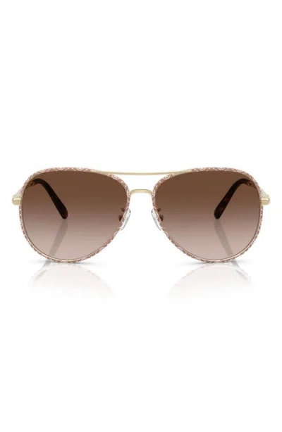 Tory Burch 58mm Pilot Sunglasses In Brown