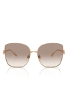 TORY BURCH 60MM GRADIENT BUTTERFLY SUNGLASSES
